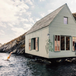 What Scandinavian travellers actually read